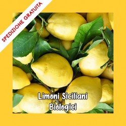 Limoni Bio di Sicilia