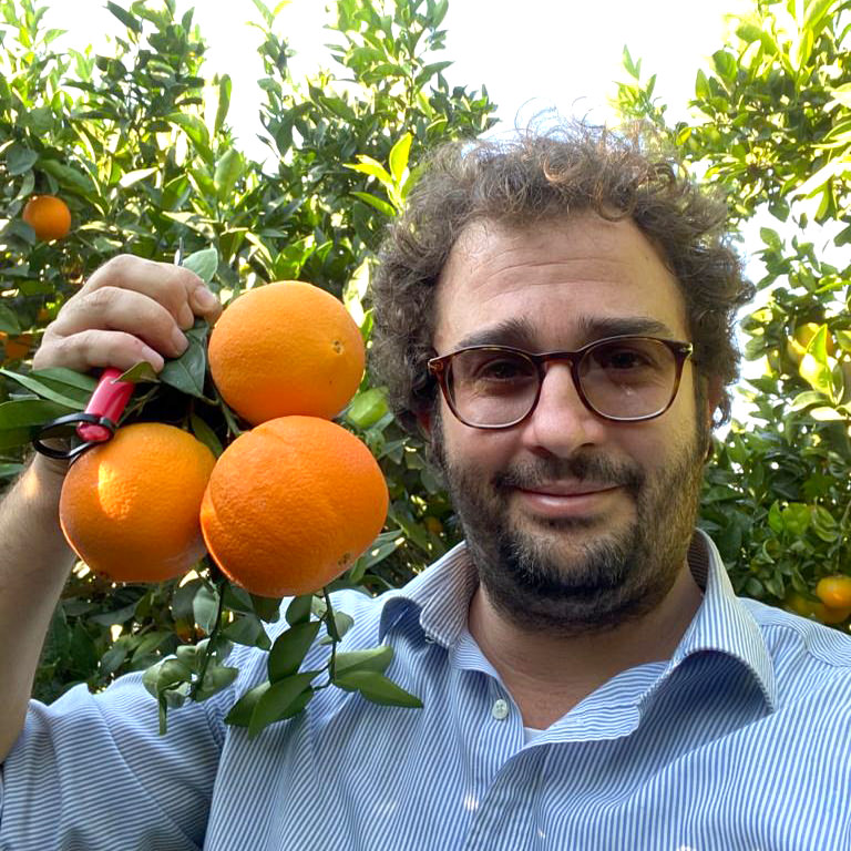 Giuseppe Maniscalco - Raccolta Arance di Ribera Bio